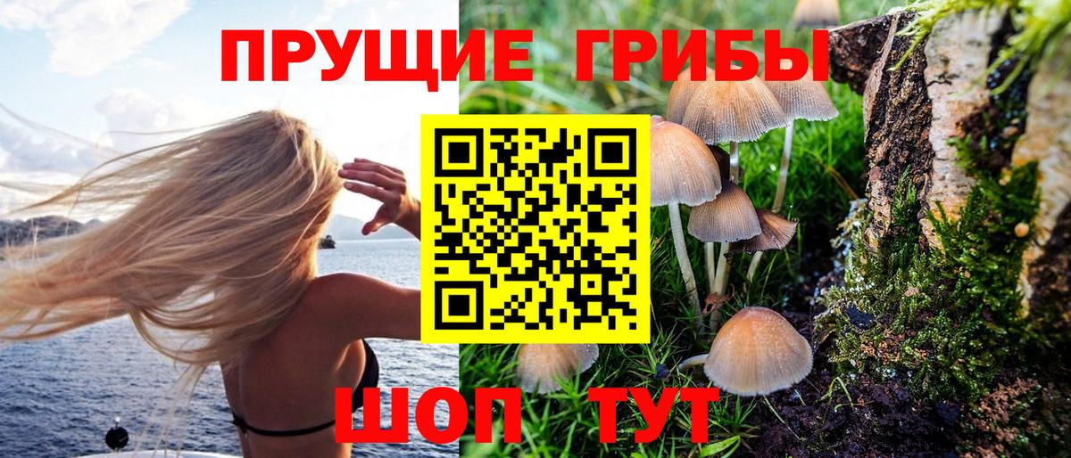 Псилоцибиновые грибы ЛСД  Вход с VPN  Псилоцибиновые грибы Psilocybine cubensis  Нижневартовск 