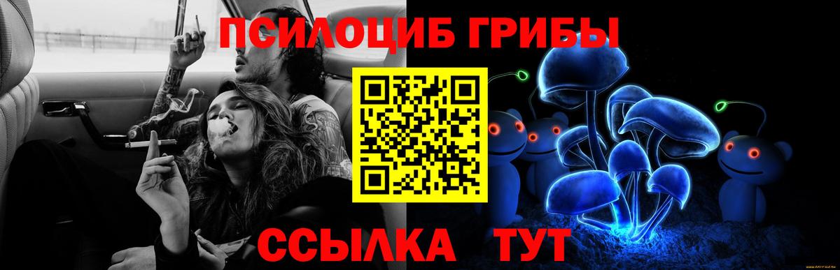 Галлюциногенные грибы Psilocybe Нижневартовск